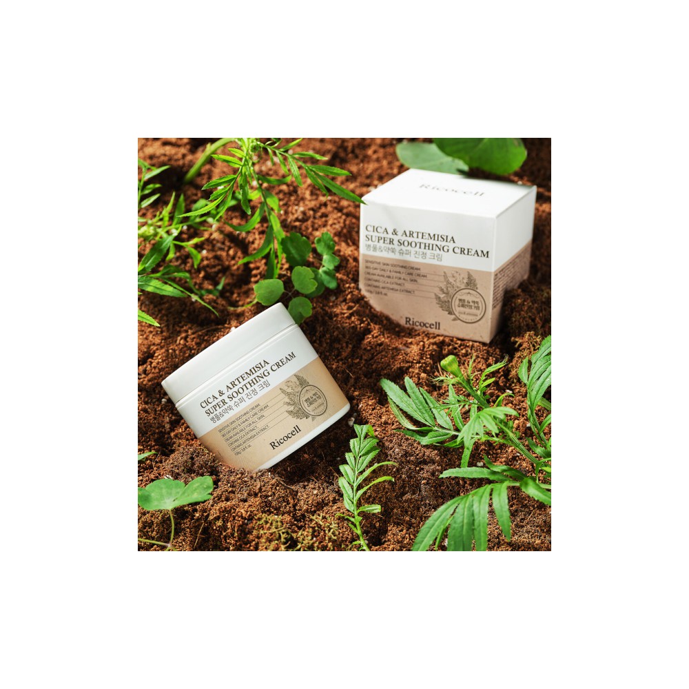 시카+약쑥 39% 슈퍼 진정 크림 100g 2개 +폼클렌저 /일시적 안면붉기개선/병풀 수분 시카 보습 저자극